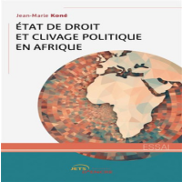 État de droit et clivage politique en Afrique (Jet d’Encre, 2023)
