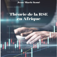 La théorie de la RSE en Afrique (Edilivre, 2023)