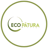 logo eco patura